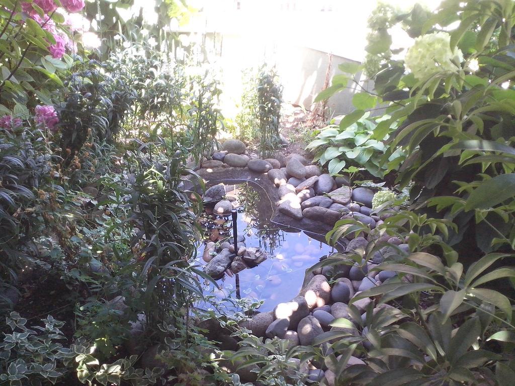 Guest House Krasi 체르노모레츠 외부 사진