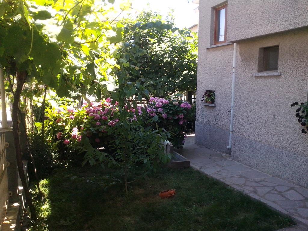 Guest House Krasi 체르노모레츠 외부 사진